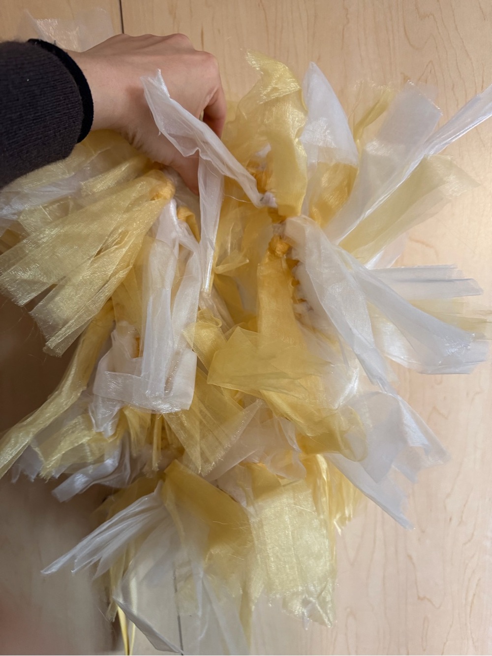 Custom Gold & White Party Tutu